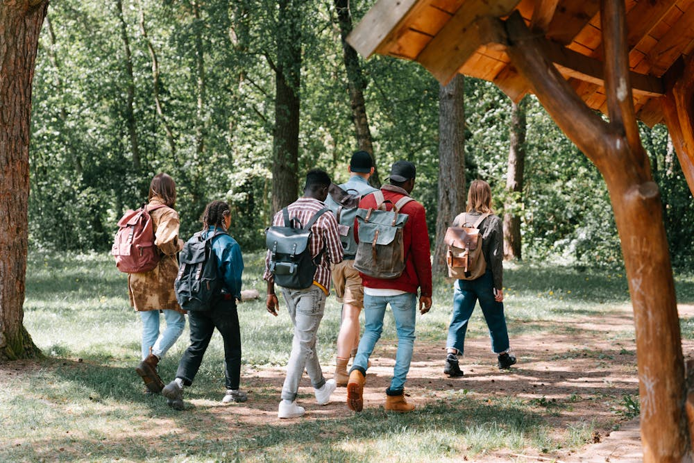 Social Programme - Group of people walking in nature